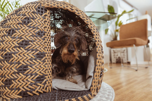 Mit Bellfugio zuhause