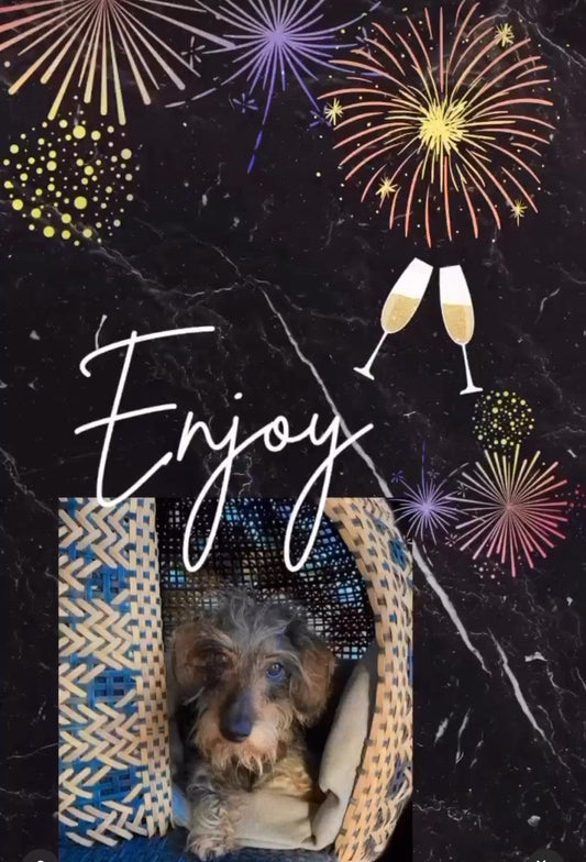 Entspannt ins neue Jahr – mit Bellfugio: Der sichere Rückzugsort für Ihr Tier