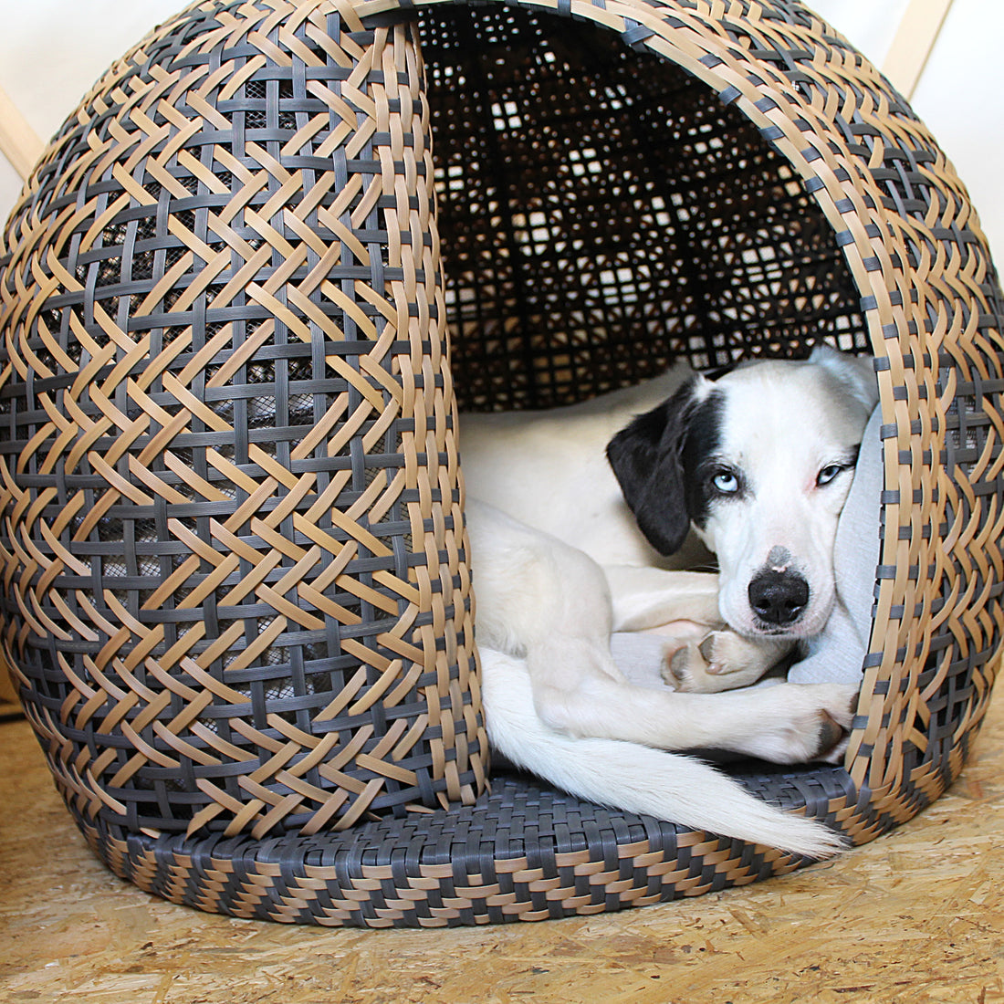 Annica testet den Bellfugio Hundekorb