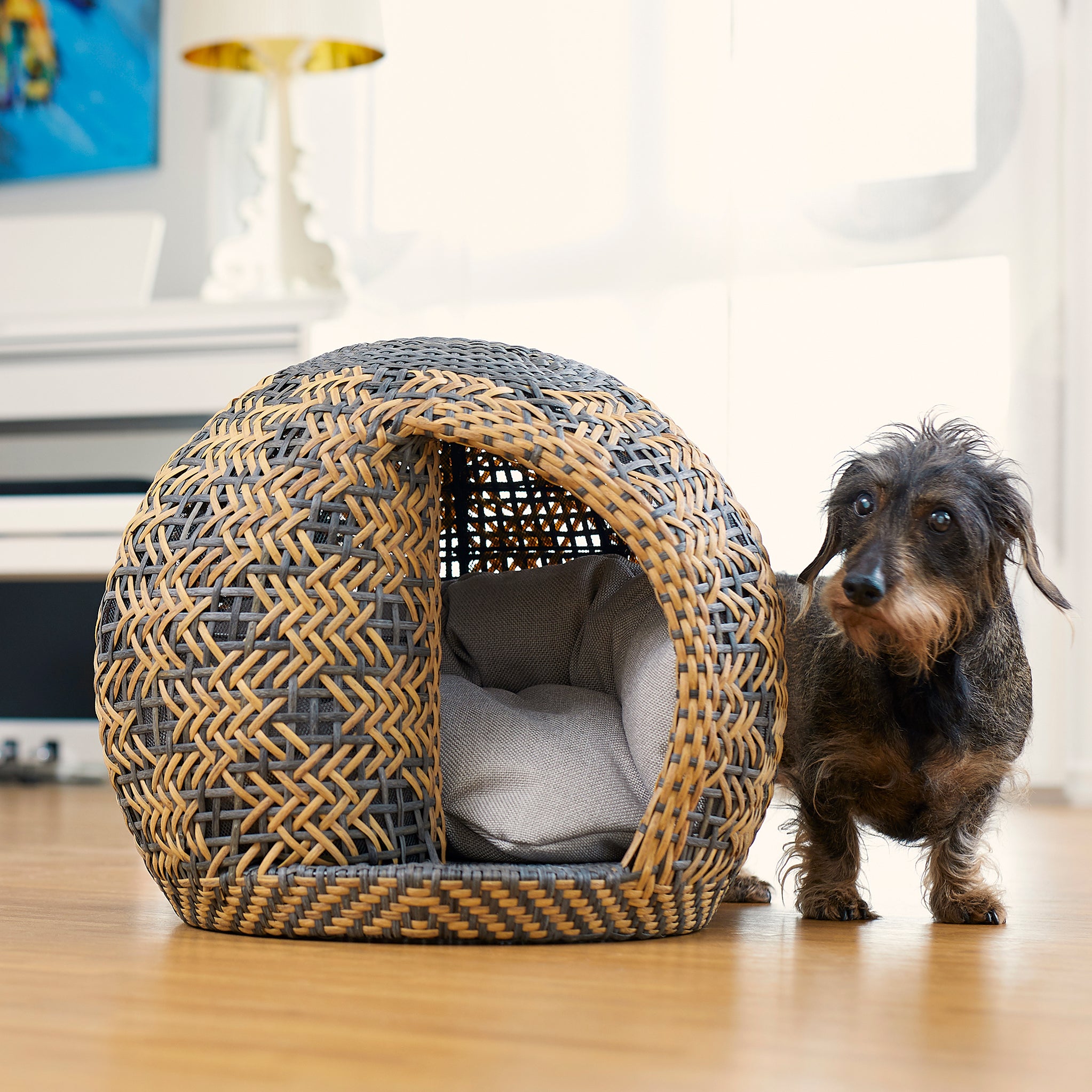 Bellfugio® Rattan-Hundekorb | Schlafplatz für Hund und Katze